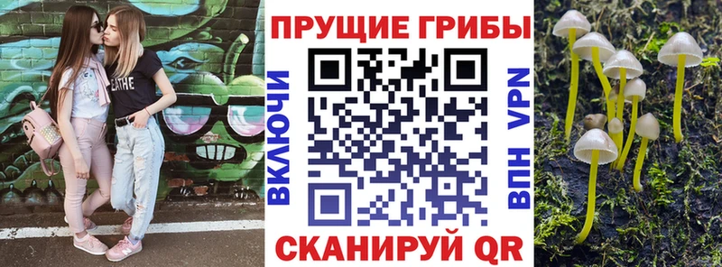 Галлюциногенные грибы Psilocybe  MEGA зеркало  Георгиевск  купить  цена 